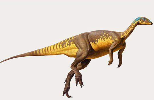 eousdryosaurus.jpg